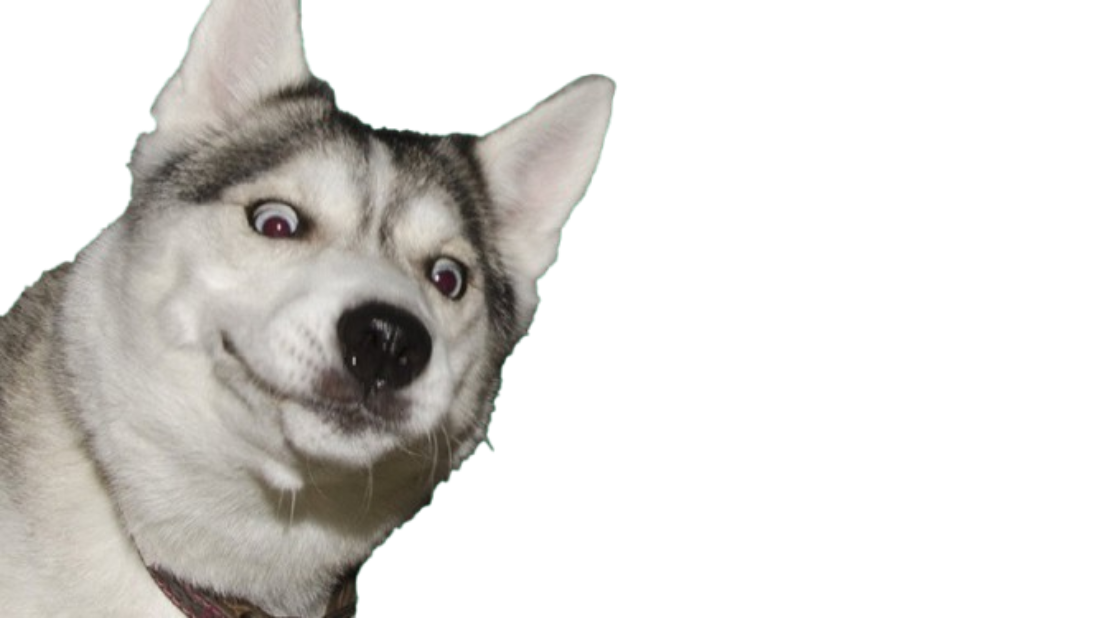 MOONMOON